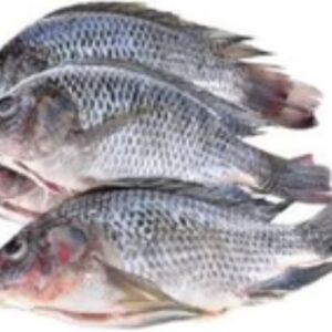 Whole Tilapia Fish