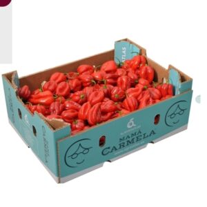 Fresh Red Scotch Bonnet Peppers