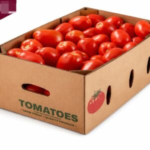 Fresh Roma Tomatoes