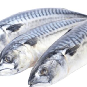 Whole Mackerel Fish