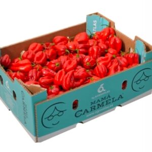 Fresh Red Scotch Bonnet Peppers